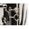 BUFFET CRAMPON LEGENDE GREENLINE CLARINETTE SIB - Avec étui