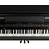ROLAND LX-9-PE PIANO NUMERIQUE POLISHED EBONY