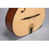 ALTAMIRA M01F GUITARE MANOUCHE "CHORUS" GLOSS - Livré en étui