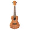 KALA KA-MANDY-C "MANDY HARVEY SIGNATURE" UKULELE CONCERT ACAJOU