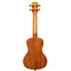 KALA KA-MANDY-C "MANDY HARVEY SIGNATURE" UKULELE CONCERT ACAJOU