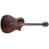 MICHAEL KELLY FORTE EXOTIC JE GUITARE FOLK ELECTO JAVA EBONY
