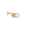 MTP 135 SAXHORN ALTO MIB VERNI - Avec étui et embouchure