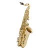 MTP JUNIOR SERIE II SAXOPHONE ALTO POUR ENFANT - 2 bocaux