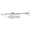 BACH STRADIVARIUS C190L 229 TROMPETTE UT VERNI avec étui