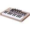 ARTURIA MINILAB MK3 CH CLAVIER MAITRE USB 25 TOUCHES CHAMPAGNE