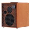 ACUS ONE FORSTRINGS 6T "SIMON WOOD" AMPLI ACOUSTIQUE 100W