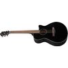 IBANEZ AEG50-LBKH GUITARE FOLK ELECTRO GAUCHER NOIRE
