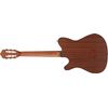 IBANEZ FRH10N-NTF GUITARE CLASSIQUE ELECTRO NATURAL FLAT
