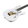 IBANEZ RGA622XH-WH GUITARE ELECTRIQUE WHITE - Avec étui