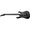 IBANEZ RGRTBB21-BKF "IRON LABEL" GUITARE ELECTRIQUE BLACK FLAT