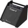 ROLAND PM-100 "PERSONAL MONITOR" AMPLI V-DRUMS 100W