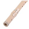 AULOS AF-3 SYMPHONY FLUTE TRAVERSO EN RESINE 415Hz