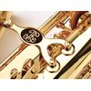 BUFFET CRAMPON PRODIGE SAXOPHONE ALTO VERNI - Livré en étui