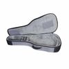 RITTER RGA6CTGR "AROSA 6" SOFCASE GUITARE CLASSIQUE GRIS