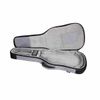RITTER RGA6ETGR "AROSA 6" SOFCASE GUITARE ELECTRIQUE GRIS