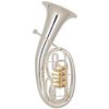 MIRAPHONE 54L AE10 "EDITION" BARYTON  4 PALETTES ARGENTE/DORE +Housse