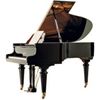SCHIMMEL K 169 ROYAL PIANO A QUEUE VERNI NOIR