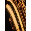 SELMER SIGNATURE SAXOPHONE ALTO VERNI GRAVÉ avec étui et bec