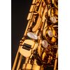 SELMER SIGNATURE SAXOPHONE ALTO VERNI GRAVÉ avec étui et bec