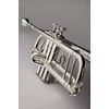 SHIRES TRQ10S TROMPETTE SIB ARGENTÉE avec étui & embouchure
