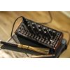 MOOG SPECTRAVOX SYNTHETISEUR SEMI-MOSULAIRE ANALOGIQUE