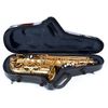 BAM STAGE4110IN "STAGE" ETUI SAXOPHONE ALTO BLACK SABBATH