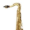 YANAGISAWA T-WO1 SAXOPHONE TENOR VERNI avec étui et bec