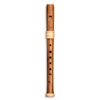 MOLLENHAUER EDITION REVE TE-4118 FLUTE A BEC SOPRANO PRUNIER & ERABLE