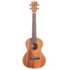 KALA KA-TG UKULELE TÉNOR ACAJOU BRILLANT