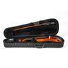 GEWA PURE EW VIOLON 4/4 AVEC GARNITURE