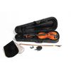 GEWA PURE EW VIOLON 4/4 AVEC GARNITURE