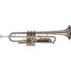 GETZEN 490S TROMPETTE SIB VERNI avec étui et embouchure