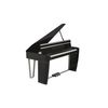 DEXIBELL VIVO H10MG BKP PIANO A QUEUE NUMERIQUE NOIR BRILLANT