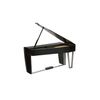 DEXIBELL VIVO H10MG BKP PIANO A QUEUE NUMERIQUE NOIR BRILLANT