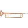 SML PARIS FTPC91-R TROMPETTE DE CAVALERIE MIB CUIVRE ROSE VERNI