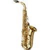 YANAGISAWA A-WO10 SAXOPHONE ALTO VERNI avec étui et bec
