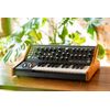 MOOG SUBSEQUENT 25 SYNTHETISEUR ANALOGIQUE