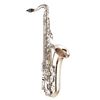 YAMAHA YTS 62S-02 SAXOPHONE TENOR ARGENTÉ avec étui et bec