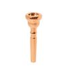 BRESLMAIR G3 QUEUE N EMBOUCHURE TROMPETTE CUVETTE AURIFIEE