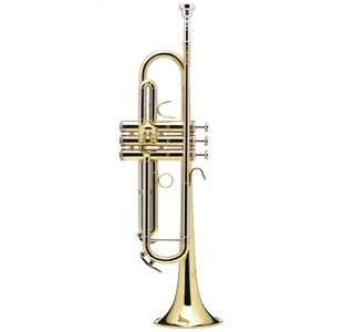 B&S 210 PRODIGE TROMPETTE SIB VERNIE avec étui et embouchure