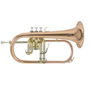 BACH FH-501 BUGLE VERNI avec étui & embouchure