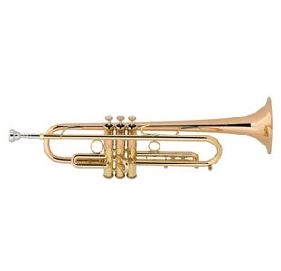 BACH STRADIVARIUS LT190L-1B TROMPETTE SIB VERNIE avec étui
