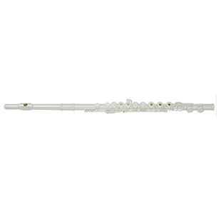 TREVOR JAMES CANTABILE FLUTE TRAVERSIERE TETE ARGENT avec étui