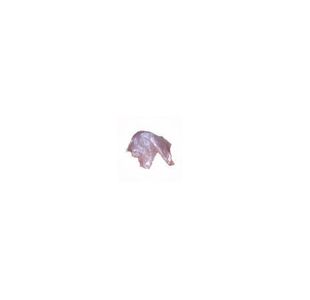 BERTHELOT FEUILLE BAUDRUCHE POUR ANCHES DOUBLE