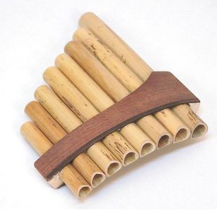 SCHWARZ FP08 FLUTE DE PAN 8 TUBES EN DO