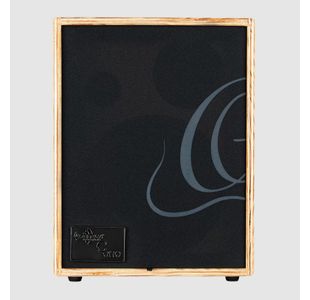 ORTEGA CONE-ASH AMPLI ACOUSTIQUE 100W 2 CANAUX REV/CHORUS FRENE