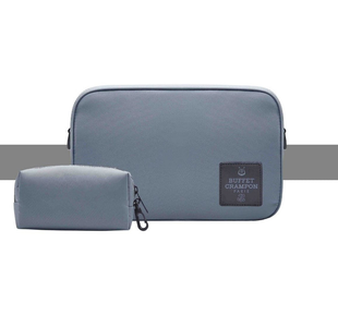 BUFFET CRAMPON BCA305GY "TINY" ETUI COMPACT CLARINETTE SIB GRIS