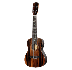 ORTEGA RUET-EB "ELITE" UKULELE CONCERT EBENE MASSIF