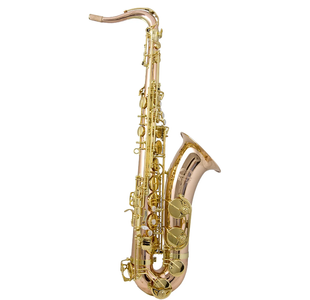 TREVOR JAMES SIGNATURE CUSTOM 38SC-T269B SAXOPHONE TENOR PHOS. BRONZE